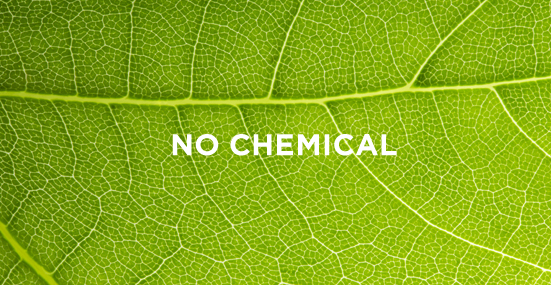 No chemical ingredients